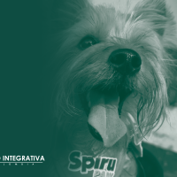 spirupaw2